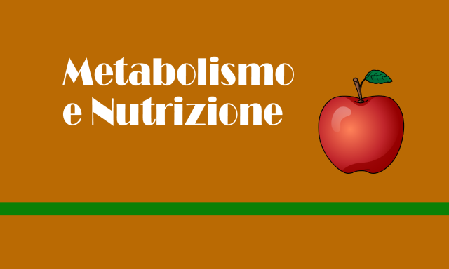 certification hero cover